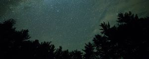 Preview wallpaper starry sky, night, trees, dark, milky way