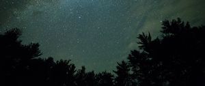 Preview wallpaper starry sky, night, trees, dark, milky way