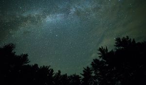 Preview wallpaper starry sky, night, trees, dark, milky way