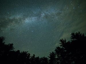 Preview wallpaper starry sky, night, trees, dark, milky way