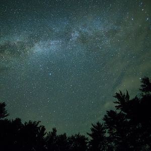 Preview wallpaper starry sky, night, trees, dark, milky way