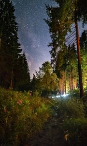 Preview wallpaper starry sky, night, trees, forest, flowers