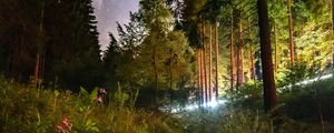 Preview wallpaper starry sky, night, trees, forest, flowers