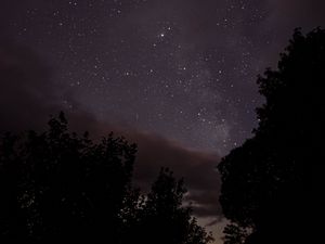 Preview wallpaper starry sky, night, trees, silhouettes