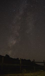 Preview wallpaper starry sky, night, trees, hedge