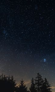 Preview wallpaper starry sky, night, trees, night landscape