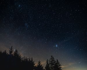 Preview wallpaper starry sky, night, trees, night landscape