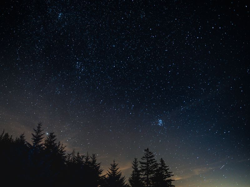 Download wallpaper 800x600 starry sky, night, trees, night landscape ...