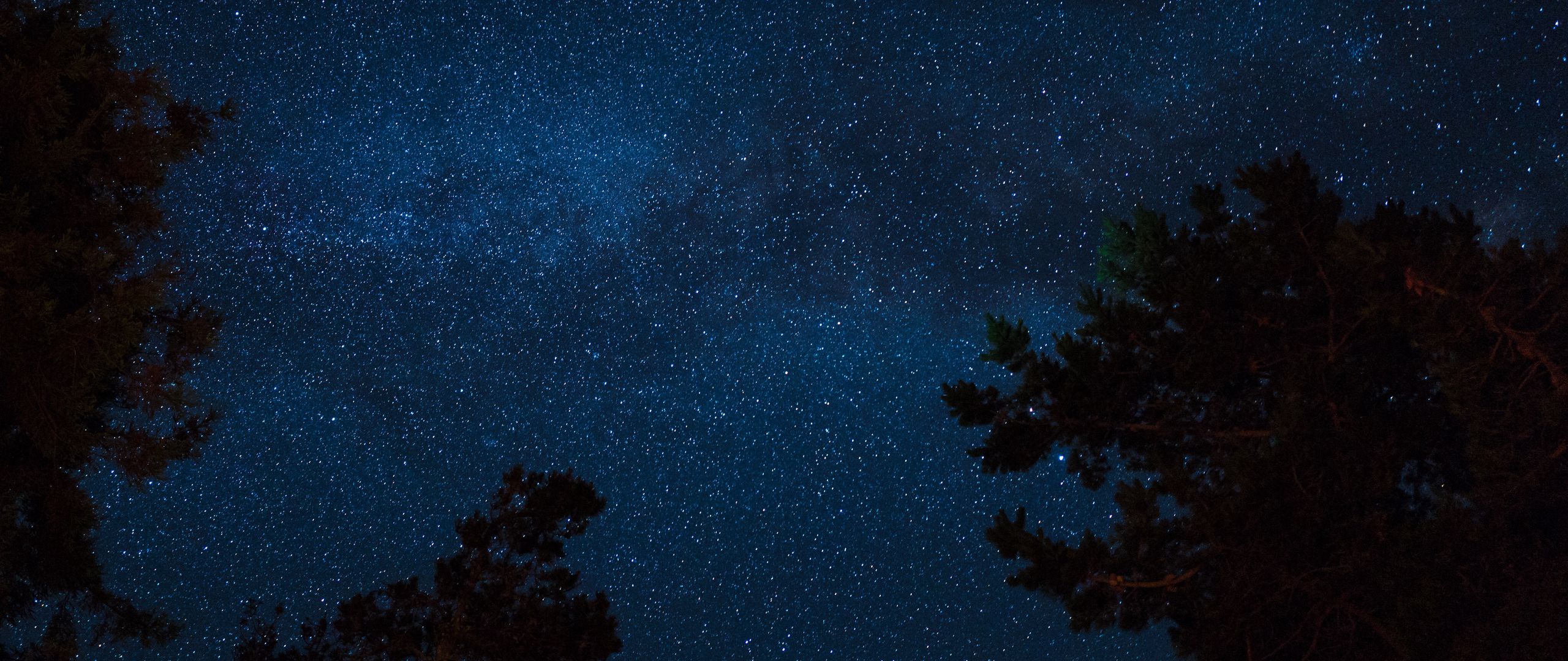 Download wallpaper 2560x1080 starry sky, night, trees, stars dual wide