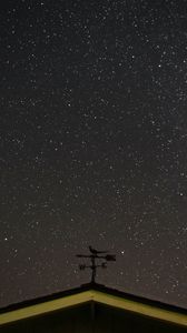 Preview wallpaper starry sky, roof, weather vane