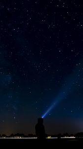 Preview wallpaper starry sky, silhouette, light, ray, night