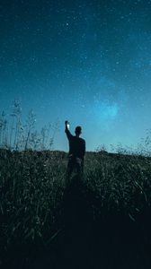 Preview wallpaper starry sky, silhouette, night, grass, field