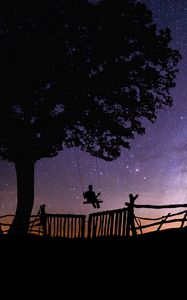 Preview wallpaper starry sky, silhouette, swing, tree, night