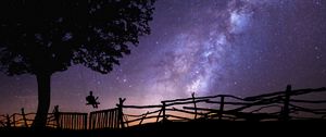 Preview wallpaper starry sky, silhouette, swing, tree, night