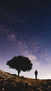 Preview wallpaper starry sky, silhouette, tree, night, stars