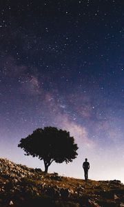 Preview wallpaper starry sky, silhouette, tree, night, stars