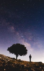 Preview wallpaper starry sky, silhouette, tree, night, stars