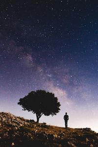 Preview wallpaper starry sky, silhouette, tree, night, stars