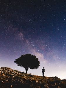 Preview wallpaper starry sky, silhouette, tree, night, stars