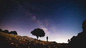 Preview wallpaper starry sky, silhouette, tree, night, stars