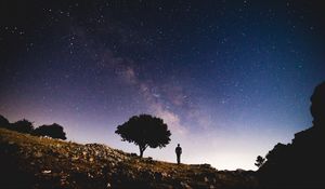 Preview wallpaper starry sky, silhouette, tree, night, stars
