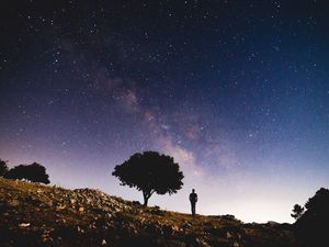 Preview wallpaper starry sky, silhouette, tree, night, stars