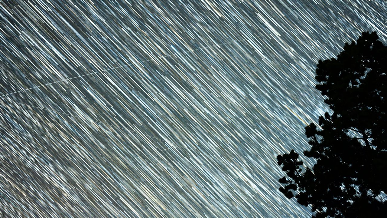 Wallpaper starry sky, starfall, stripes, trees, silhouette