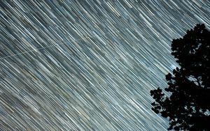 Preview wallpaper starry sky, starfall, stripes, trees, silhouette