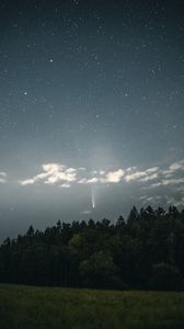 Preview wallpaper starry sky, starfall, trees, night