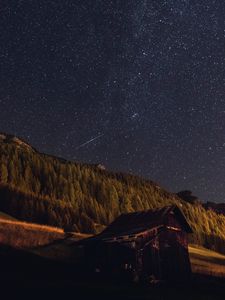 Preview wallpaper starry sky, stars, forest, building, night