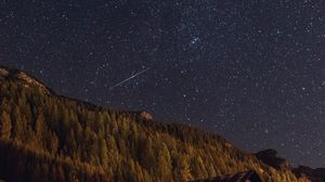 Preview wallpaper starry sky, stars, forest, building, night