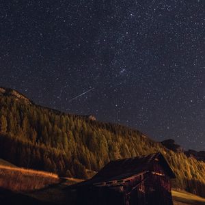 Preview wallpaper starry sky, stars, forest, building, night