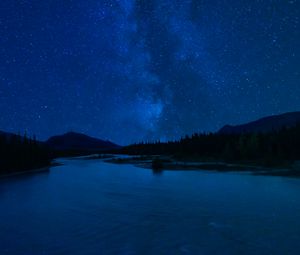 Preview wallpaper starry sky, stars, forest, lake, night