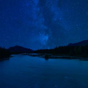 Preview wallpaper starry sky, stars, forest, lake, night