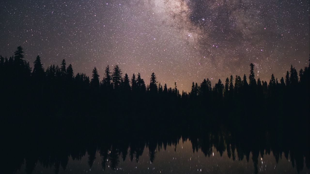 Wallpaper starry sky, stars, milky way, trees, night