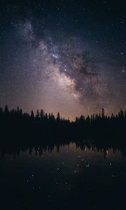 Preview wallpaper starry sky, stars, milky way, trees, night