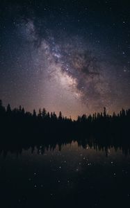 Preview wallpaper starry sky, stars, milky way, trees, night