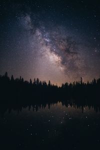 Preview wallpaper starry sky, stars, milky way, trees, night