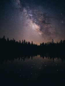 Preview wallpaper starry sky, stars, milky way, trees, night