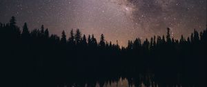 Preview wallpaper starry sky, stars, milky way, trees, night