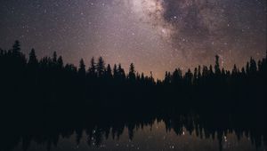 Preview wallpaper starry sky, stars, milky way, trees, night