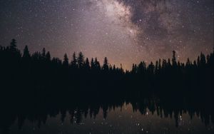 Preview wallpaper starry sky, stars, milky way, trees, night