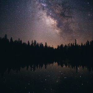 Preview wallpaper starry sky, stars, milky way, trees, night
