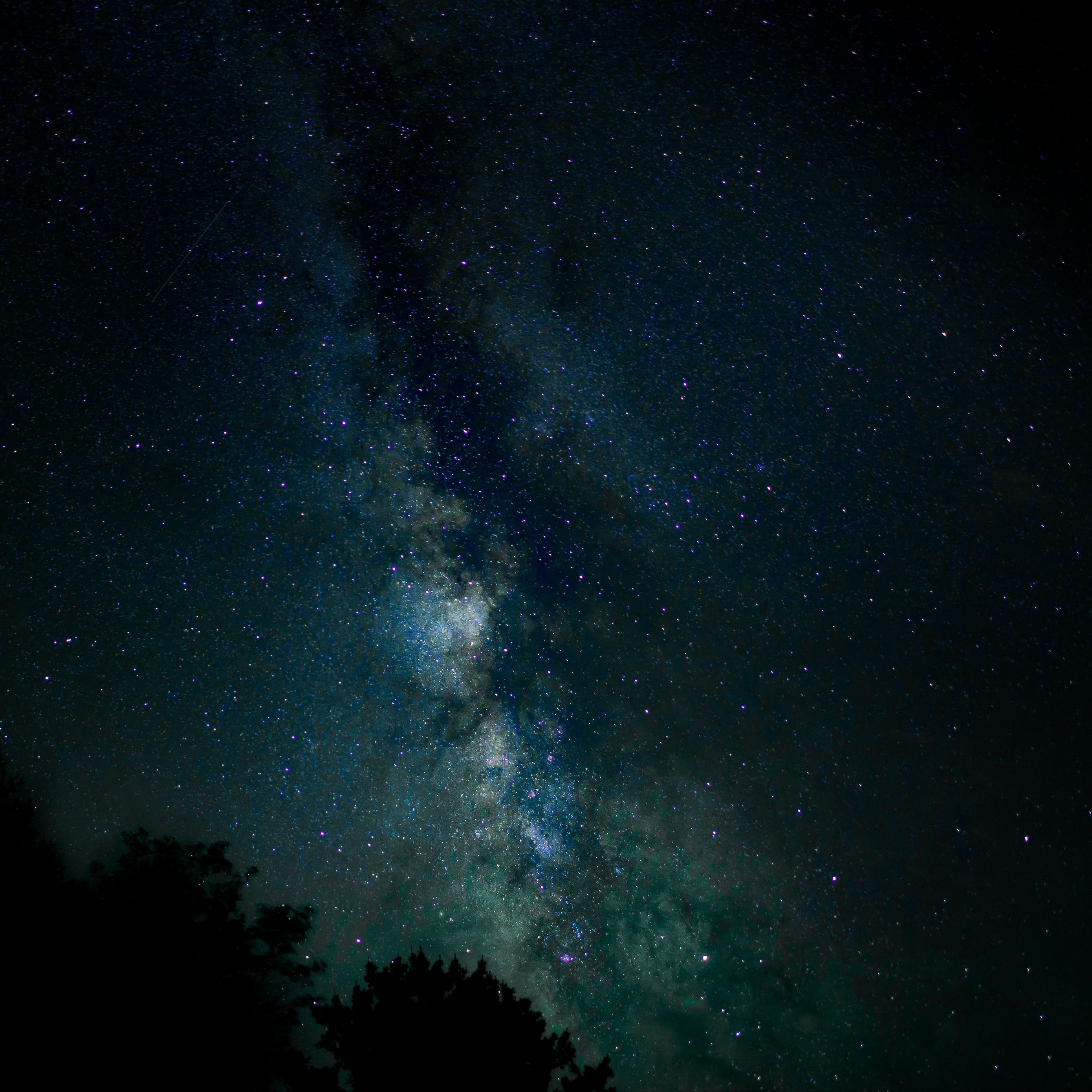 Download wallpaper 2780x2780 starry sky, stars, milky way, night ipad ...