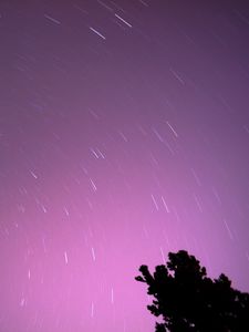 Preview wallpaper starry sky, stars, motion, long exposure, night