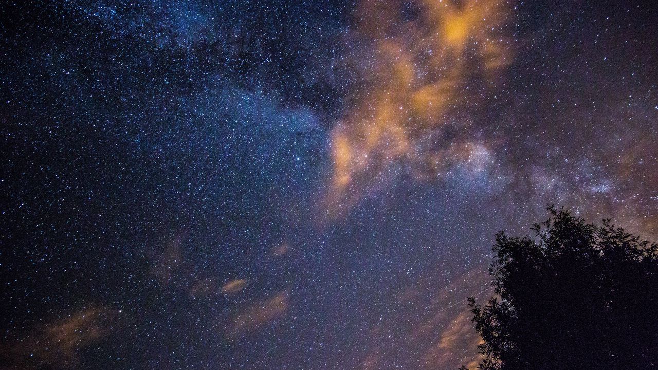 Wallpaper starry sky, stars, night, tree