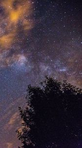 Preview wallpaper starry sky, stars, night, tree
