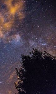Preview wallpaper starry sky, stars, night, tree