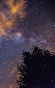 Preview wallpaper starry sky, stars, night, tree