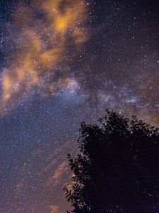 Preview wallpaper starry sky, stars, night, tree